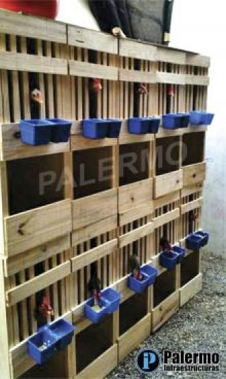 TRAMPAS PIQUERAS PARA GALLINAS 30x40x80cm alto